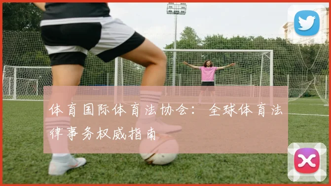 体育国际体育法协会：全球体育法律事务权威指南