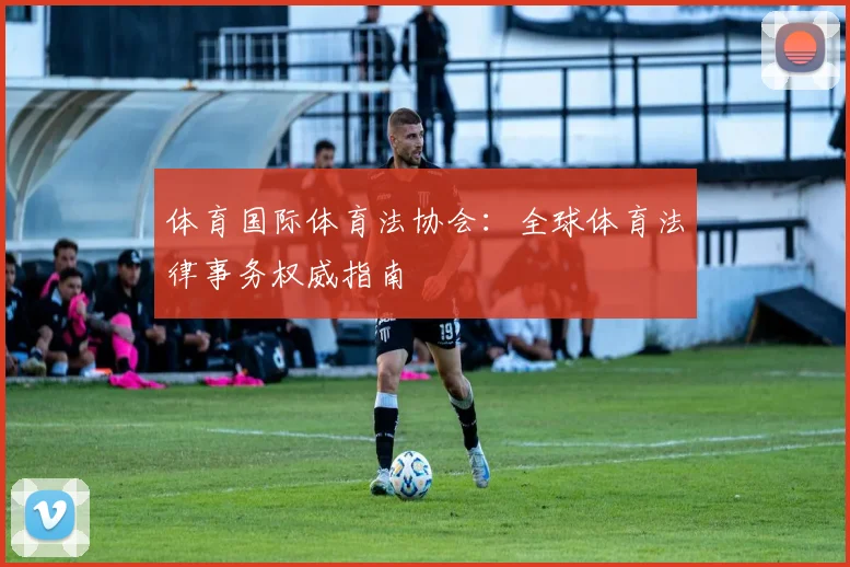 体育国际体育法协会：全球体育法律事务权威指南