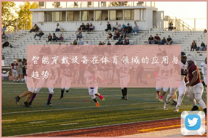 智能穿戴设备在体育领域的应用与趋势